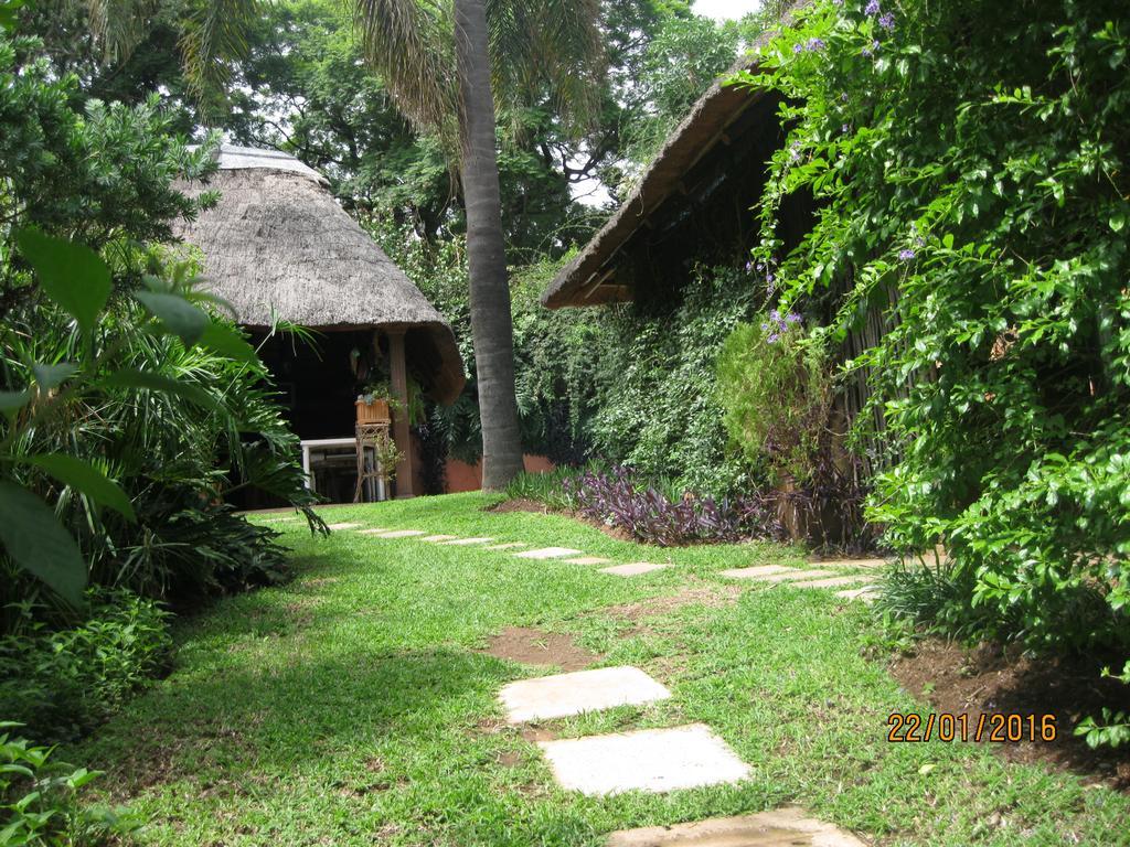 Treetops & Treats Guest House Pretoria Luaran gambar