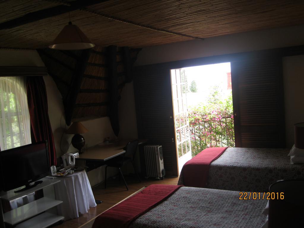 Treetops & Treats Guest House Pretoria Luaran gambar