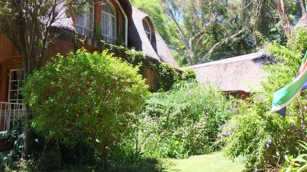 Treetops & Treats Guest House Pretoria Luaran gambar