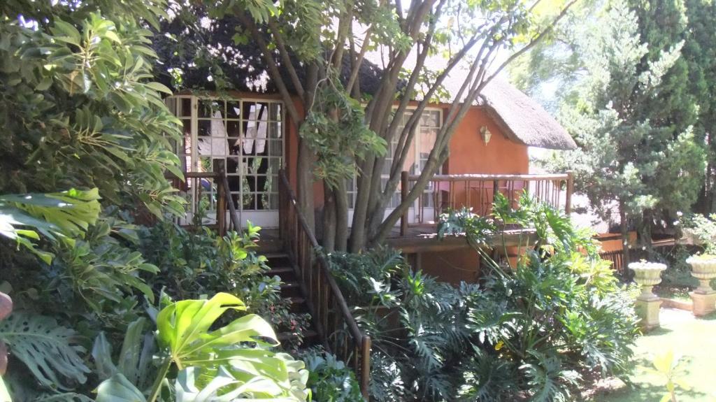 Treetops & Treats Guest House Pretoria Luaran gambar