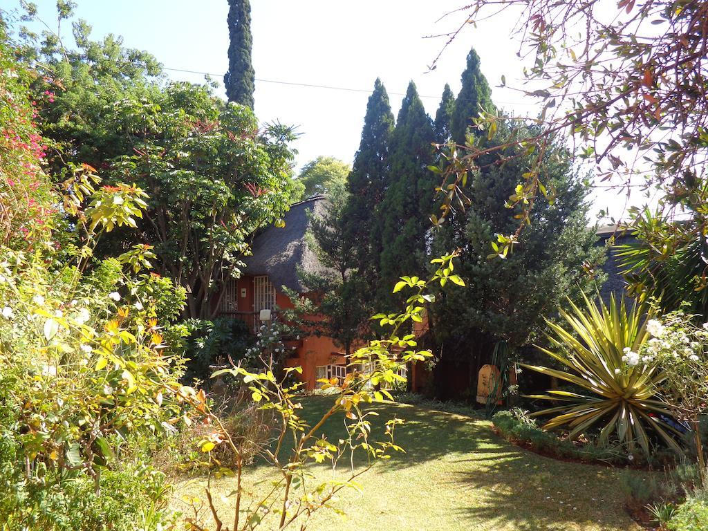 Treetops & Treats Guest House Pretoria Luaran gambar
